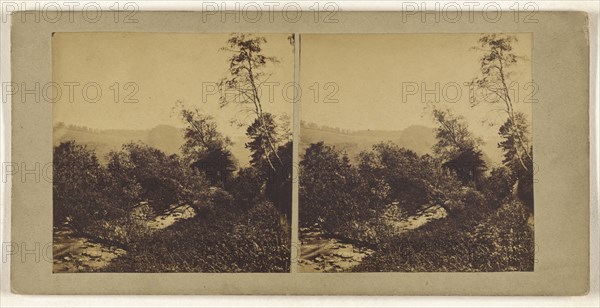 On the banks of the Devon; British; about 1860; Albumen silver print