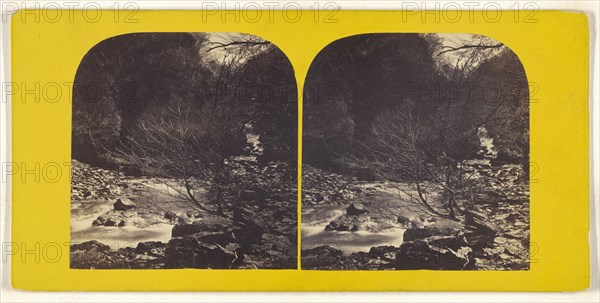 Waters Meet, Lynton; British; about 1865; Albumen silver print