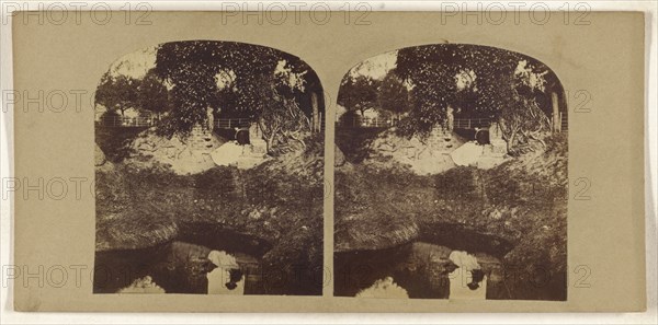 Woman seated on ground overlooking a brook, her reflection seen in the brook; British; about 1860; Albumen silver print