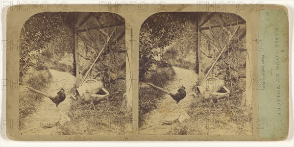 Basse-Cour et Voliere. Faisan dore et sa Poule; French; about 1865; Albumen silver print