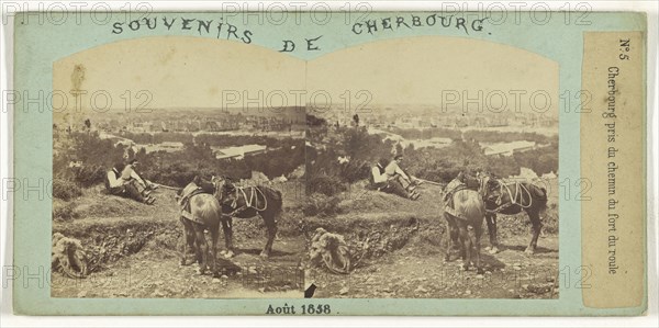 Cherbourg pris du chemin du fort du roule; French; August 1858; Albumen silver print