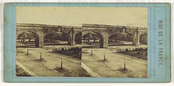 avenue de Montpellier,Midi de la France; French; about 1860; Albumen silver print