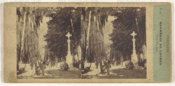 Pyrenees. Bagneres de Luchon. Avenue de la Pique; French; about 1860; Albumen silver print