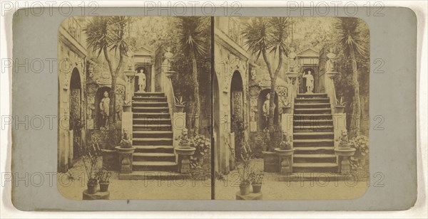 Vue prise dans la villa Campana. Rome; Italian; about 1860; Albumen silver print