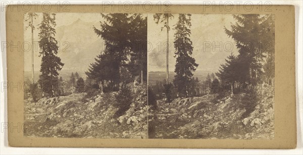 Vue prise a Seitorf pres Altorf. Canton d'Uri Suisse, Switzerland; about 1865; Albumen silver print