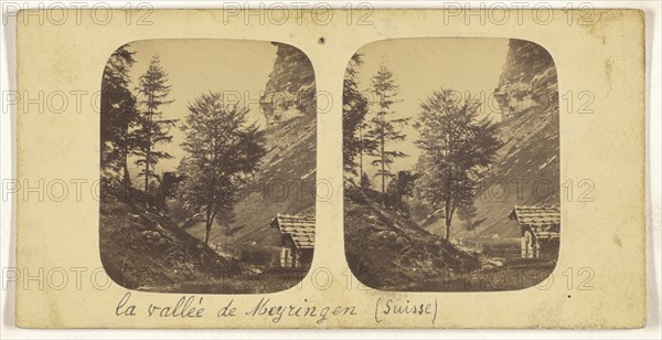Paysage dans la Gorge obscure pres Meiringen, Suisse, Switzerland, about 1865; Albumen silver print