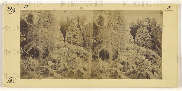 Luna Island Scenery; Canadian; about 1863; Albumen silver print