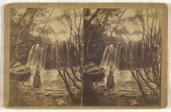 The Weeping Rock  Wentworth Falls, Blue Mts, N.S.W., Oct. 1st 1884; October 1, 1884; Albumen silver print