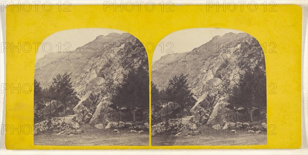 Rocks. North Malvern; British; about 1870; Albumen silver print
