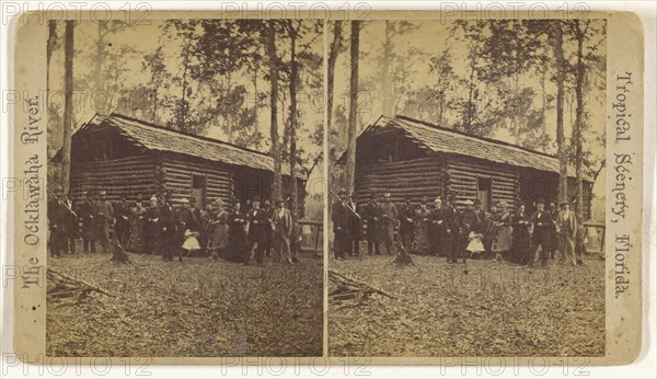 Double Pen, Log House Florida; American; about 1870; Albumen silver print