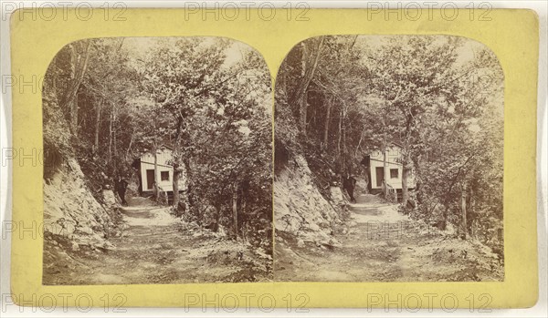 Weyer Cave. Grottoes of the Shenandoah, Va; American; about 1870; Albumen silver print