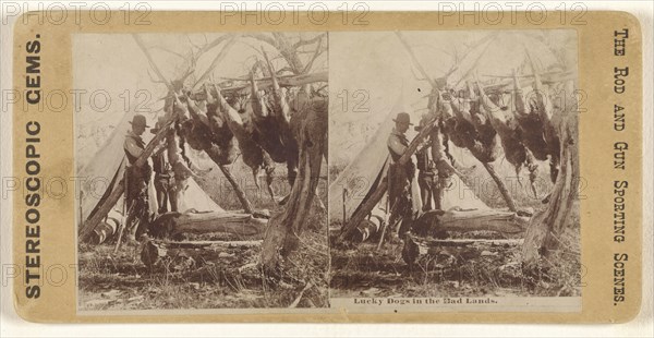 Lucky Dogs in the Bad Lands; American; about 1865; Albumen silver print
