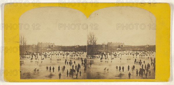 Central Park. The Skating Pond; American; about 1865; Albumen silver print