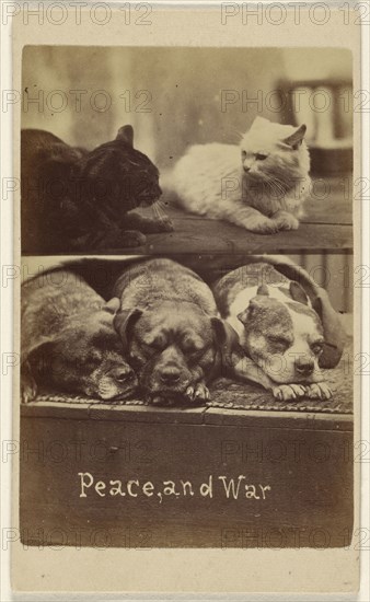 Peace, and War; Henry Pointer, British, 1822 - 1889, about 1865; Albumen silver print
