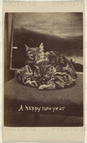 A happy new year; Henry Pointer, British, 1822 - 1889, about 1865; Albumen silver print