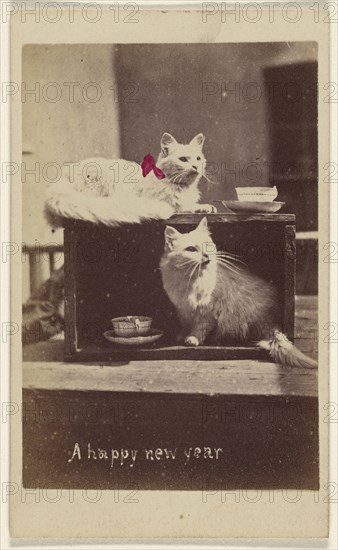A happy new year; Henry Pointer, British, 1822 - 1889, about 1865; Hand-colored albumen silver print