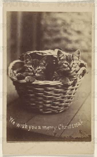 We wish you a merry Christmas; Henry Pointer, British, 1822 - 1889, about 1865; Albumen silver print