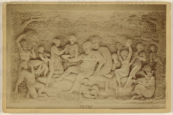 Silene a frieze by Navlet; French; about 1890; Albumen silver print