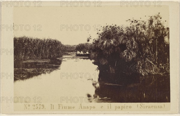 Il Fiume Anapo e il papiro, Siracusa, Sommer & Behles, Italian, 1867 - 1874, February 20, 1867; Albumen silver print