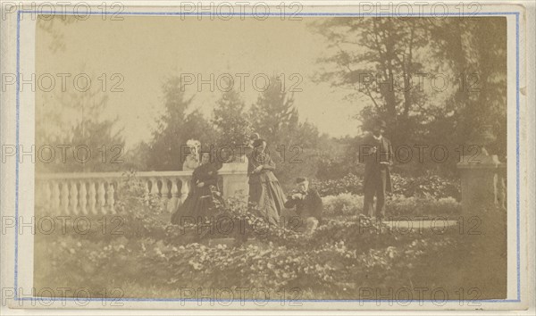 Five  people: three women and one man standing, one man seated, in a garden; 1865 - 1870; Albumen silver print