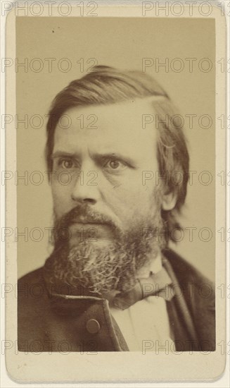 Frank B. Carpenter Francis Bicknell Carpenter; Sarony & Co; 1880 - 1885; Albumen silver print