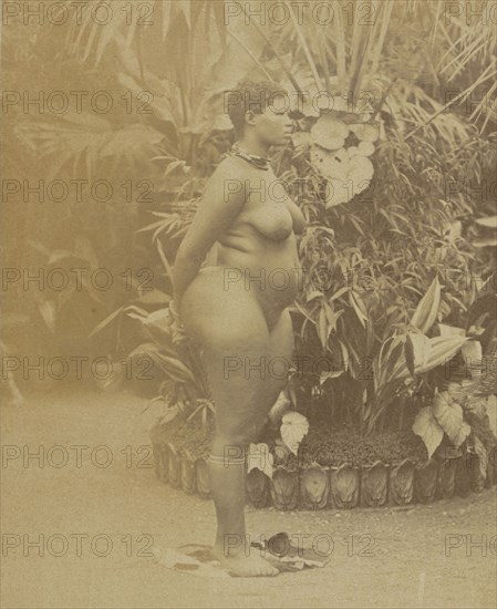 African Woman; Prince Roland Napoleon Bonaparte, French, 1858 - 1924, Africa; about 1888; Albumen silver print