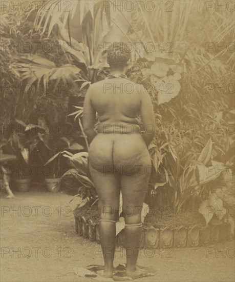 African Woman; Prince Roland Napoleon Bonaparte, French, 1858 - 1924, Africa; about 1888; Albumen silver print