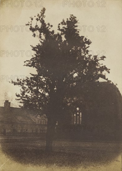 Blackfriars Chapel, St. Andrews; Hill & Adamson, Scottish, active 1843 - 1848, Scotland; 1843 - 1848; Salted paper print