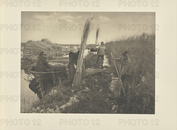 During the Reed-Harvest; Peter Henry Emerson, British, born Cuba, 1856 - 1936, London, England; 1886; Platinum print