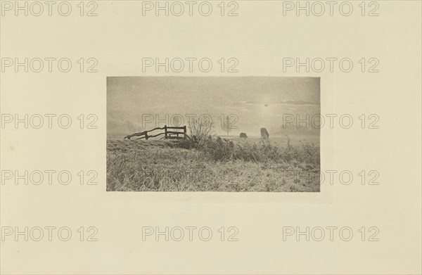 A Winter's Sunrise; Peter Henry Emerson, British, born Cuba, 1856 - 1936, London, England; 1895; Photogravure; 6.8 × 12.9 cm