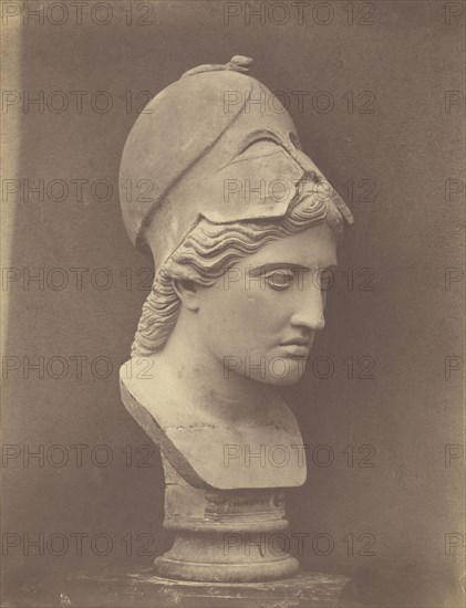 Head of Minerva 3,4 view; Roger Fenton, English, 1819 - 1869, 1858; Salted paper print; 36.6 x 29 cm 14 7,16 x 11 7,16 in