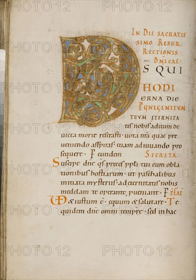 Decorated Initial D; about 1025 - 1050; Tempera colors, gold, and ink on parchment; Ms. Ludwig V 2, fol. 66v