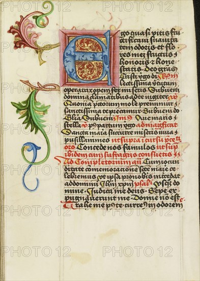 Decorated Initial E; Workshop of Valentine Noh, Bohemian, active 1470s, Prague, Bohemia, Czech Republic; about 1470 - 1480