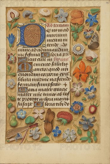 Decorated Initial D; Bruges, Belgium; about 1480 - 1485 ?; Tempera colors and gold on parchment; Leaf: 20.5 x 14.8 cm