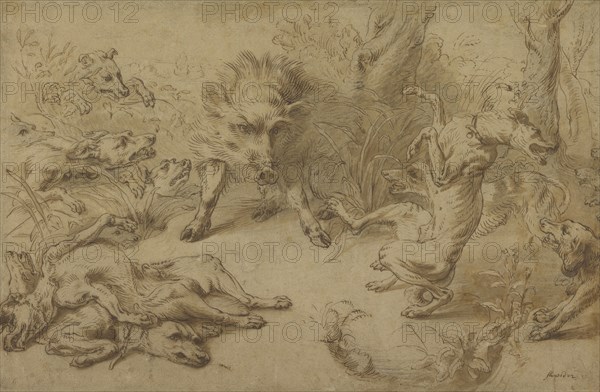 A Wild Boar at Bay; Frans Snyders, Flemish, 1579 - 1657, Flanders, Belgium; 1620 - 1630; Black chalk, pen and brown ink, brown