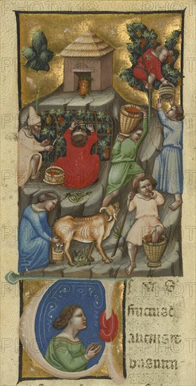 Harvest Scene; Initial U: A Figure; Attributed to the Illustratore, Andrea da Bologna?, Italian, active 2nd quarter of 14th