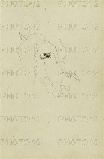 Horse Head; Théodore Géricault, French, 1791 - 1824, 1812 - 1814; Graphite; 15.2 x 10.6 cm, 6 x 4 3,16 in