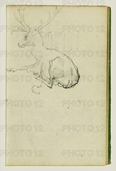 Seated Stag; Théodore Géricault, French, 1791 - 1824, 1812 - 1814; Graphite; 15.2 x 10.6 cm, 6 x 4 3,16 in