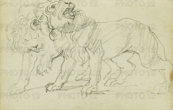 Pair of Lions; Théodore Géricault, French, 1791 - 1824, 1812 - 1814; Graphite; 15.2 x 10.6 cm, 6 x 4 3,16 in