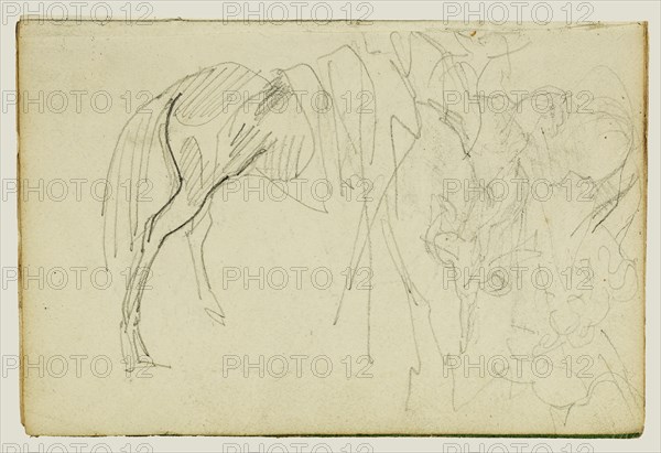 Compositional Study, Horse Studies; Théodore Géricault, French, 1791 - 1824, 1812 - 1814; Graphite; 15.2 x 10.6 cm