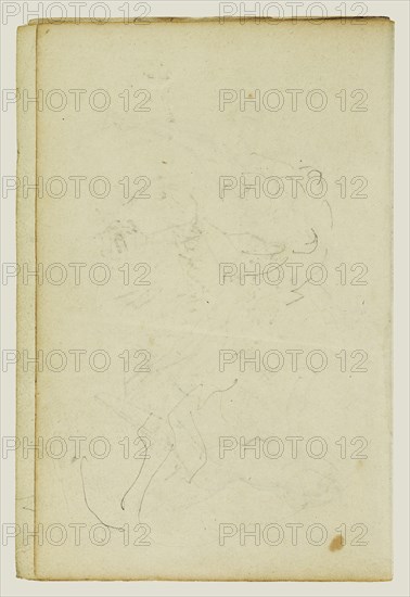 Sketches of Head and Hind Legs of a Lion; Théodore Géricault, French, 1791 - 1824, 1812 - 1814; Graphite; 15.2 x 10.6 cm