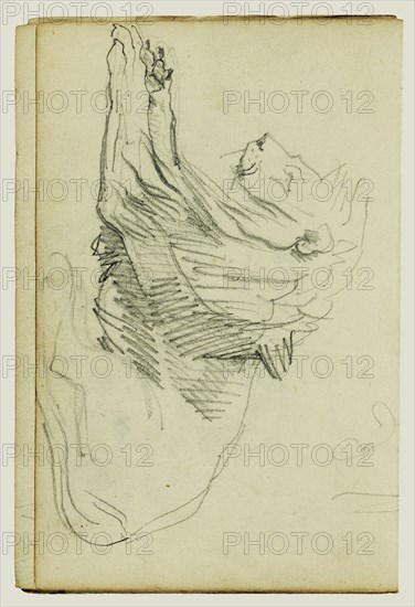 Seated Lion; Théodore Géricault, French, 1791 - 1824, 1812 - 1814; Graphite; 15.2 x 10.6 cm, 6 x 4 3,16 in