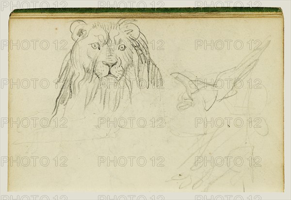 Head-On View of Seated Lion; Théodore Géricault, French, 1791 - 1824, 1812 - 1814; Graphite; 15.2 x 10.6 cm, 6 x 4 3,16 in