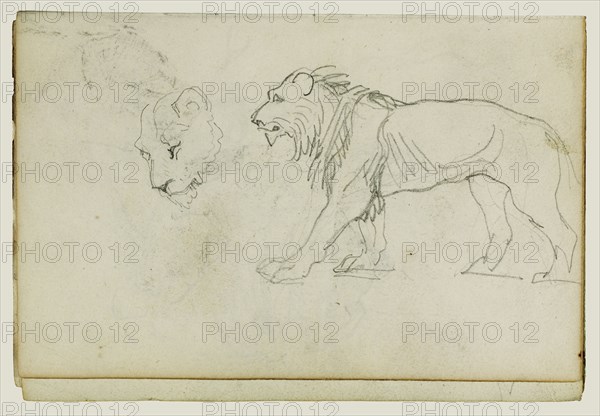 Lion Walking, Head of a Lioness; Théodore Géricault, French, 1791 - 1824, 1812 - 1814; Graphite; 15.2 x 10.6 cm, 6 x 4 3,16 in