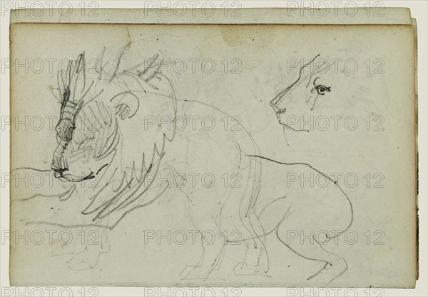 Lion Studies; Théodore Géricault, French, 1791 - 1824, 1812 - 1814; Graphite; 15.2 x 10.6 cm, 6 x 4 3,16 in
