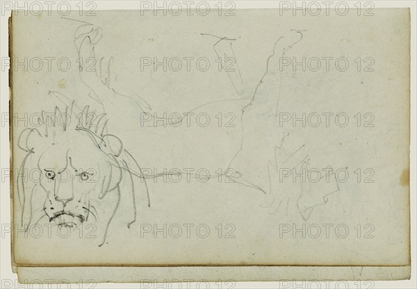 Lion Walking, Face of Lion; Théodore Géricault, French, 1791 - 1824, 1812 - 1814; Graphite; 15.2 x 10.6 cm, 6 x 4 3,16 in