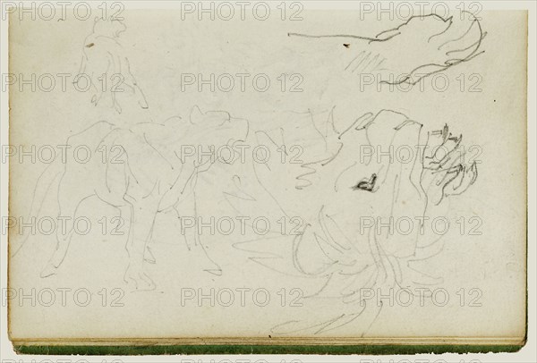 Lion Studies; Théodore Géricault, French, 1791 - 1824, 1812 - 1814; Graphite; 15.2 x 10.6 cm, 6 x 4 3,16 in