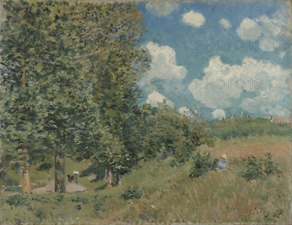 The Road from Versailles to Saint-Germain; Alfred Sisley, English, 1839 - 1899, 1875; Oil on canvas; 51.1 × 65.1 cm