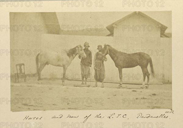 Horses and Men of the L.T.C., Dardanelles; Dr. William Robertson, Scottish, 1818 - 1882, Turkey; 1855 - 1856; Albumen silver