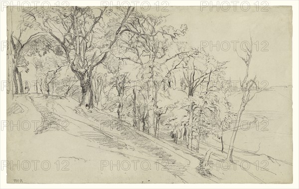 Forest in Boisrémond, recto, Cottage in a Forest, verso, Théodore Rousseau, French, 1812 - 1867, 1842; Black chalk on laid